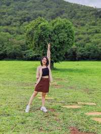 ต้นไม้รูปหัวใจ ❤️ หนึ่งเดียวในเขาใหญ่