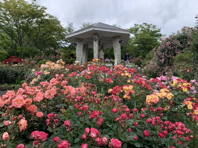 強羅公園