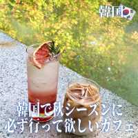 【韓国】韓国で秋シーズンに絶対行ってほしいカフェ🍁