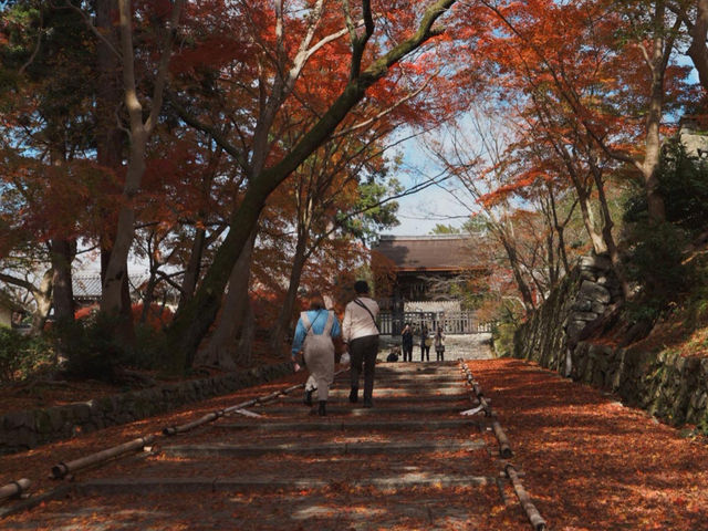 【山科の隠れた名所】毘沙門堂で心を癒そう！🍁