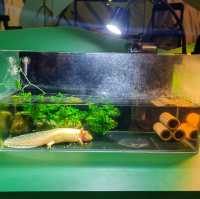 荃灣市中心浩海立方探遊館探索不同生物