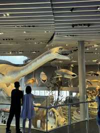 Museum ราคาดีที่ห้ามพลาดเมื่อมาเที่ยวเซี่ยงไฮ้ 🦕