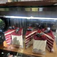 เอื้องหลวงจันท์ คาเฟ่ของคนจันท์ 