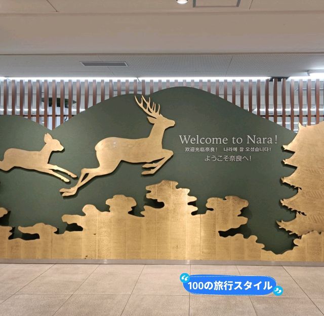 奈良観光にやって来ました👍✨観光へ出発〜✨✨