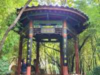 昆明｜翠湖公園