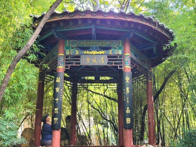 昆明｜翠湖公園