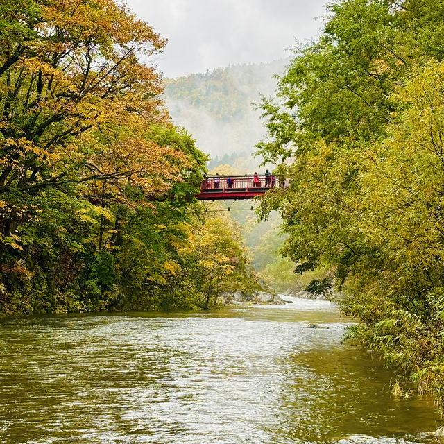 【北海道】紅葉がきれいな温泉地🍁