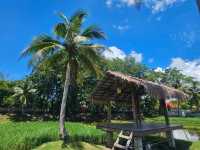 A nice visit to the paddy museum at Langkawi, Laman Padi