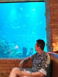 Aquarium Restaurant in Bali