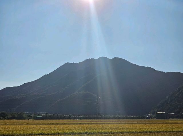 악어봉으로 등산 갔다온 악어새