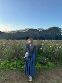 夕方の昭和記念公園