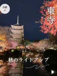 【京都東寺】境内の紅葉ライトアップ🍁と夜間特別公開