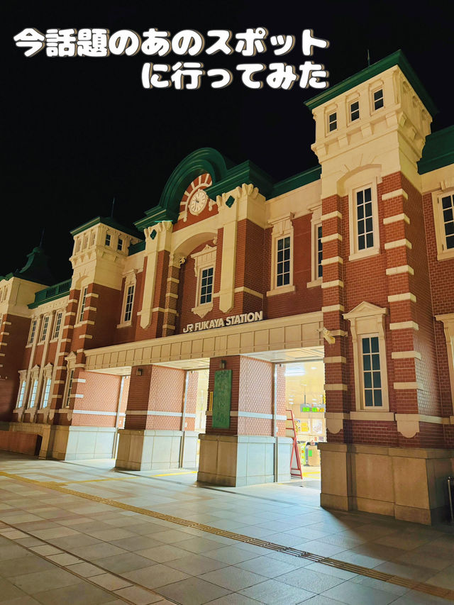【埼玉】日帰り旅🚃いま話題の人に纏わる駅に行ってみた!!