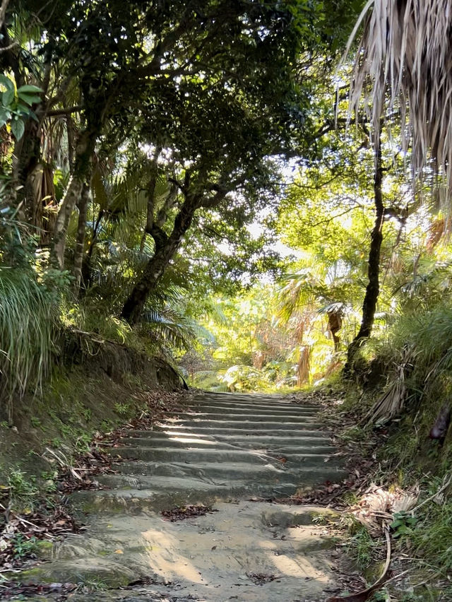 登った人しか見れない絶景がそこにある！