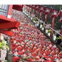 【千葉】毎年開催されるビッグ雛祭り！