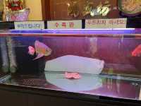 부선 이국적인 중식맛집