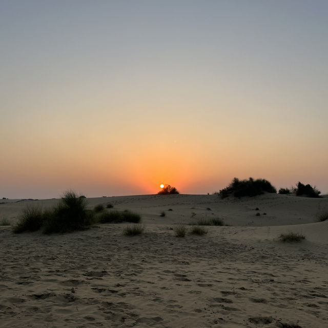 Don’t Camel Around for 1.5 Days! Just sunset it (India)