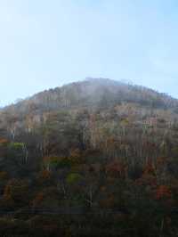 【群馬】紅葉の山々を満喫できる『赤城山』