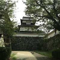 不要錯過大濠公園內的漂亮日式庭園