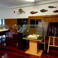 泰國曼谷朱拉隆功大学自然历史博物館，親子博物館遊覽好去處