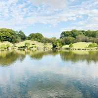 Garden of Wonders: Discovering the Beauty of Suizenji in Kumamoto!
