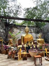 มหัศจรรย์โบสถ์ 400 ปี “วัดสังกระต่าย อ่างทอง”