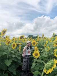 🌻 ไร่เชษฐ์เจริญชัย 