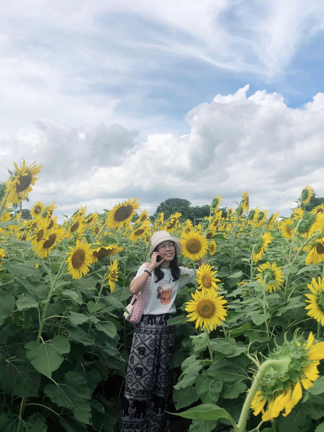 🌻 ไร่เชษฐ์เจริญชัย 