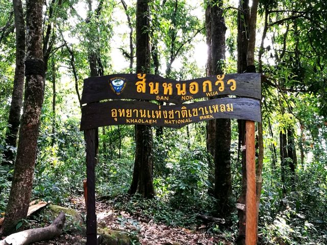 เขาสันหนอกวัว เดินป่ากาญจนบุรี ทองผาภูมิ
