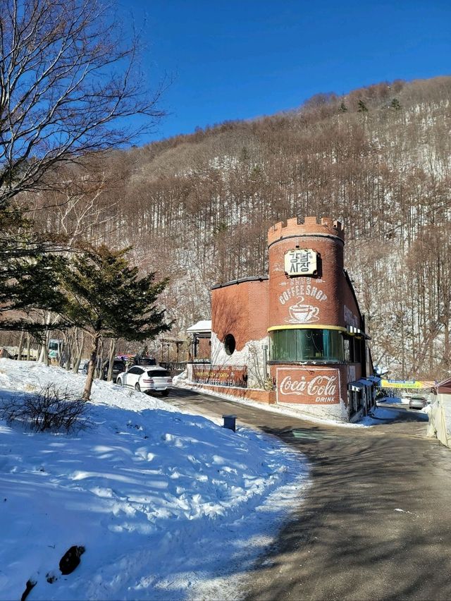 막바지 겨울을 즐기기 좋은 태백 여행코스🩵