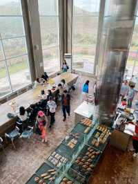 Dreamy Sea of Pink Muhly Grass Café In Jeju Island