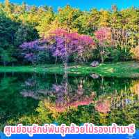 ศูนย์อนุรักษ์พันธุ์กล้วยไม้รองเท้านารี