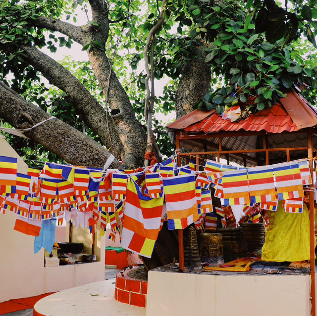 Sujatha Temple