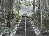 🇯🇵【高知県】第36番札所 独鈷山 伊舎那院 青龍寺