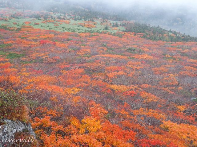 【岩手県】陸奥の紅葉絨毯の山！三ツ石山