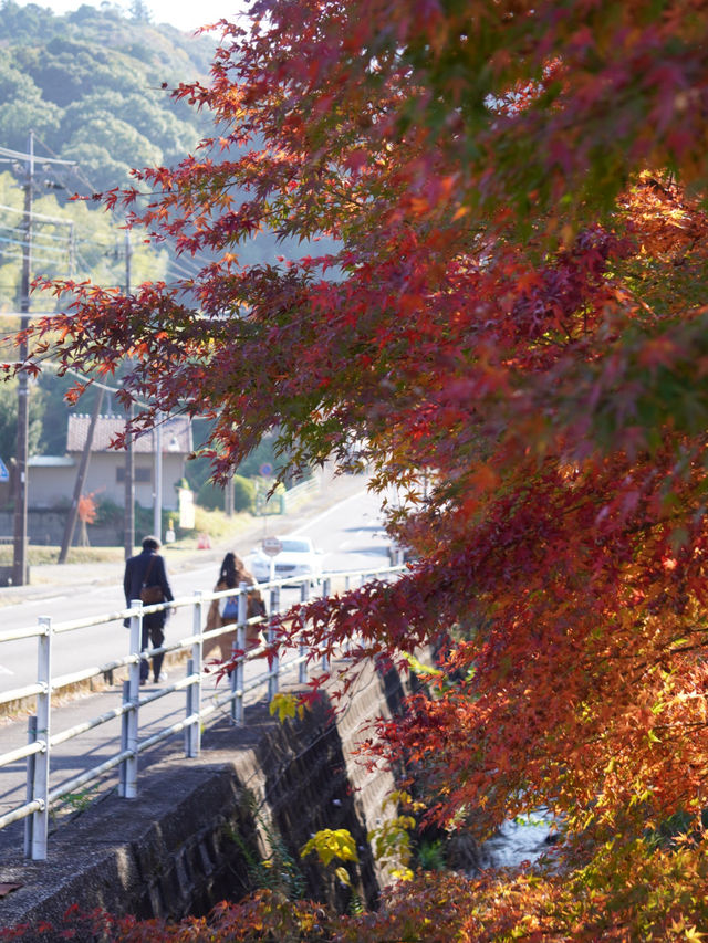 【千葉】映えスポットとして人気！出口が2つある珍しいトンネル