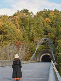 【滋賀】季節を感じる美術館！MIHO MUSEUM