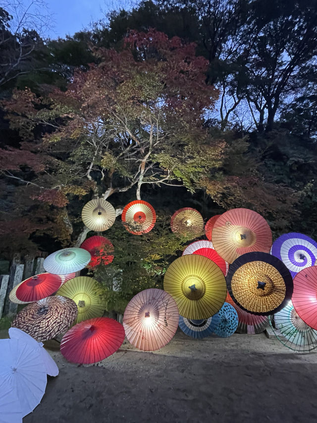 奈良観光🍁岡寺🍁