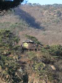 【坡州🇰🇷】スリル満点のサスペンションブリッジ