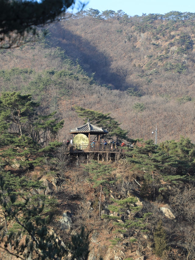 【坡州🇰🇷】スリル満点のサスペンションブリッジ