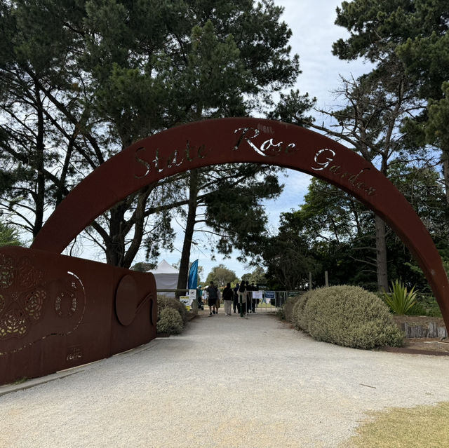 Werribee rose garden