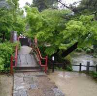 武藏寺，九州歷史最悠久的藤蔓和山茶花美麗的寺院