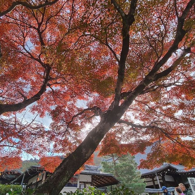 嵐山 天龍寺