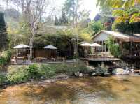 Riri Teahouse คาเฟ่ชาญี่ปุ่นริมลำธาร