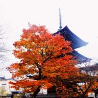Hida Kokubunji Temple