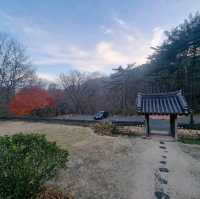 산사도 둘러보고 향긋한 야생차도 마셔보세요.