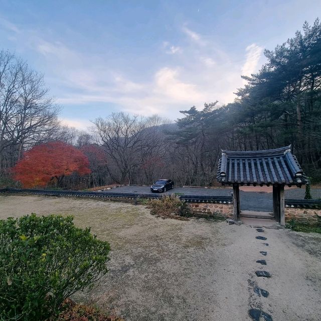 산사도 둘러보고 향긋한 야생차도 마셔보세요.