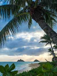 4 Reasons You Need to Visit Oahu ASAP 🌅