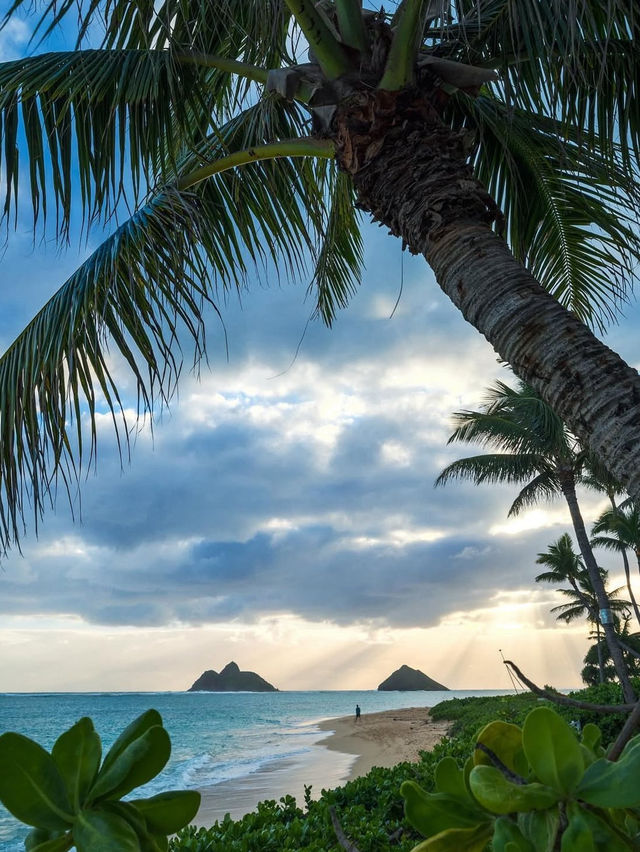 4 Reasons You Need to Visit Oahu ASAP 🌅