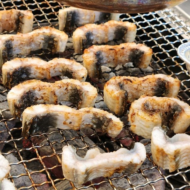 "동해의 매력, 자연과 맛으로 가득 찬 힐링 여행"
